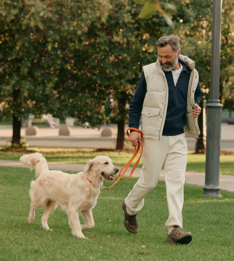 Мужская обувь